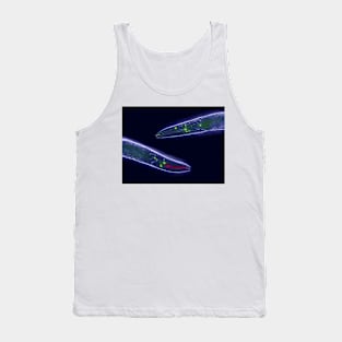 Caenorhabditis elegans (C011/1388) Tank Top